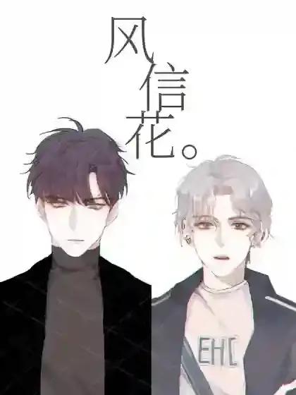 风信花
